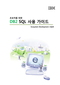 초보자를 위한 DB2 SQL 사용 가이드
