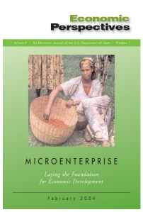 Microenterprise Laying The Foundation For Economic Development